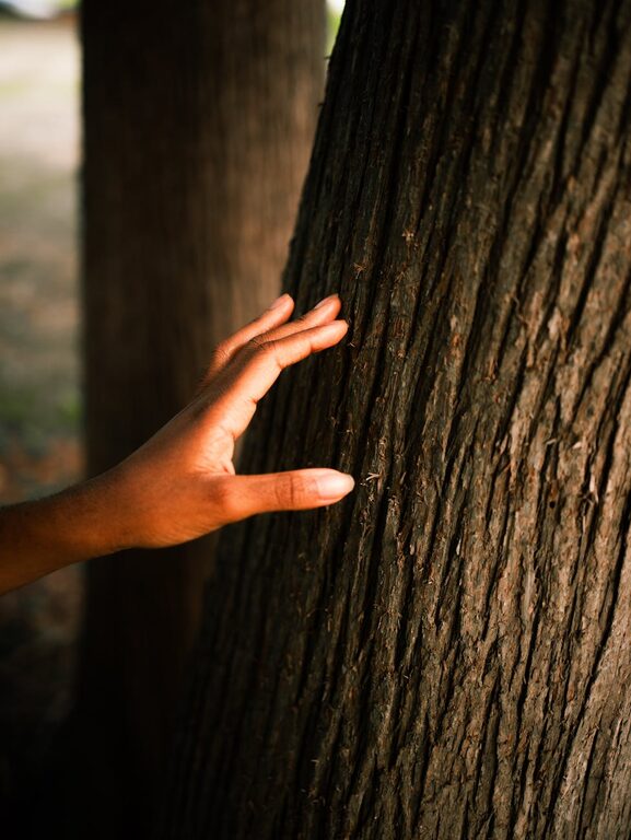 Simple Mindfulness Practices to Enhance Your Daily Life